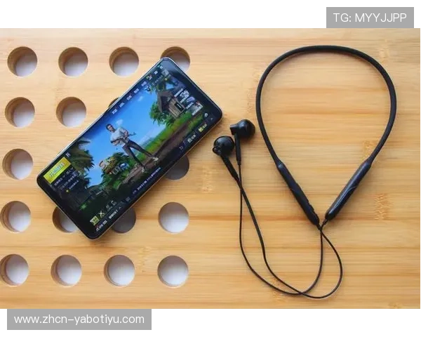 亚博YB旗舰厅客户端功能详解与使用技巧，助您轻松掌握游戏操作与优化策略